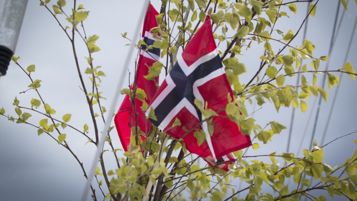 Norske flagg i bukett med bjørkekvister. Foto.